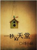 一秒的天堂(又名浅浅心事)