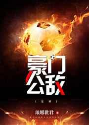豪门公敌足球txt