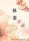 休妻实录无弹窗