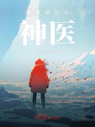 都市极品小神医庞风