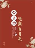 公主的过期白月光txt百度