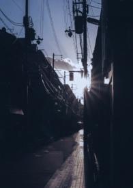 你是我的曙光英语