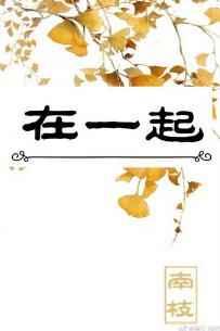 综在一起定制番外