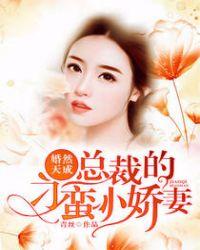 婚然天成总裁老公太放肆真人