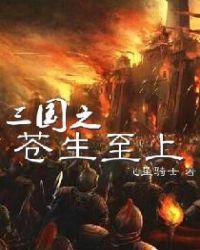 三国之苍天航路国语版