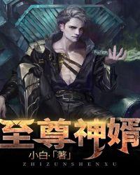 至尊神婿林凡