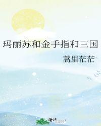 玛丽苏和金手指和三国诸葛