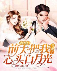 前夫把我当成了心头白月光(懒小玖)