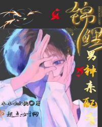 锦鲤抄男声版