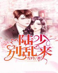 陆少别来无恙全文免费阅读叶综涵