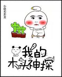 我的木头神探阅读笔趣阁