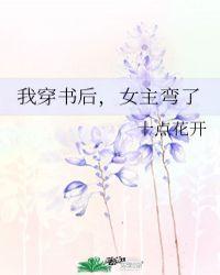 穿书后我搬弯女主o