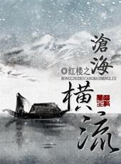 红楼之沧海横流TXT百度资源最新章节