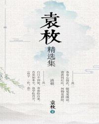 袁枚的书