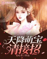 天降萌宝请接一招