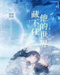 藏不住他的世界 墨舞碧歌讲的什么