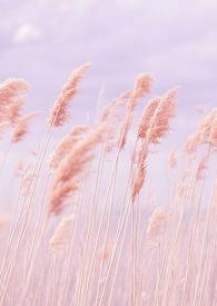 你不是我的手机