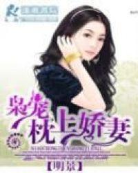 枭宠君少撩妻100分