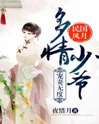民国少爷宠妻电视剧