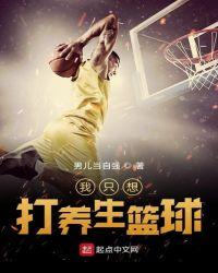 我只是想打篮球