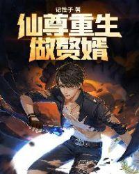 重生仙尊女婿