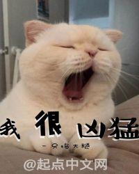 形容很凶猛