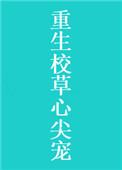 重生校草心尖宠沈念