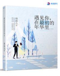 遇见你在最美的年纪歌词是什么歌曲