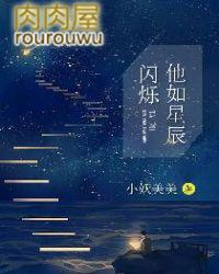 他如星辰闪烁免费阅读