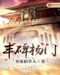 丰碑杨门全本TXT免费