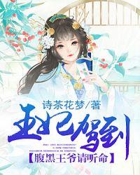 王妃驾到腹黑王爷喜当爹