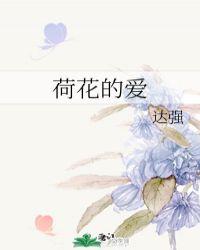 荷花的爱讲的什么