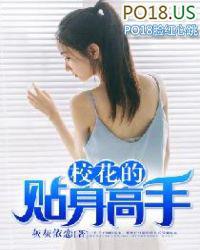 校花的贴身高手多少字