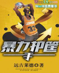 暴力护筐手txt完本