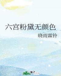 六宫粉黛无颜色打一花卉