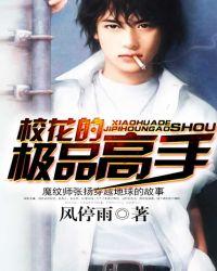 校花的极品高手罗峰免费阅读
