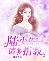 陆少的蜜宠阅读全文