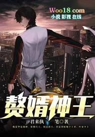 赘婿神王叶宁全文