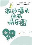 我的墙头遍布娱乐圈番外