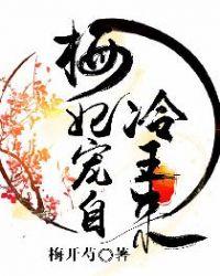 梅妃娘娘是哪个电视剧