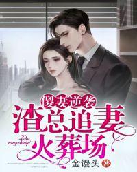 渣总追妻火葬场短剧免费观看