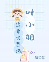 叶小姐追妻火葬场gl类型