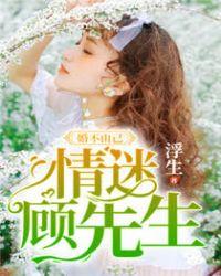 婚不由你 顾先生持证上岗