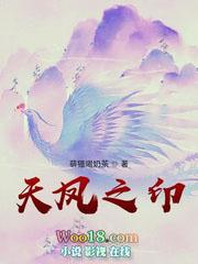 天凤之印在线阅读