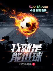 我就是能进球TXT