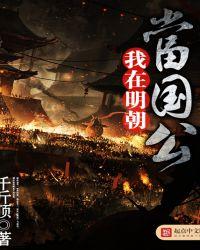 我在明朝当国公起点
