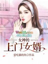 女神上门女婿赵旭