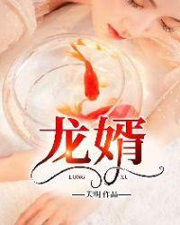 龙婿当道