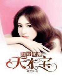 傲娇爹地宠上天无敌双宝