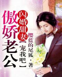闪婚甜妻高冷老公陪陪我全本免费阅读